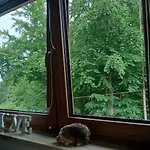 Bajkowy Szczyrk